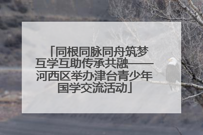 同根同脉同舟筑梦 互学互助传承共融——河西区举办津台青少年国学交流活动