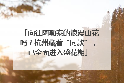 向往阿勒泰的浪漫山花吗？杭州藏着“同款”，已全面进入盛花期