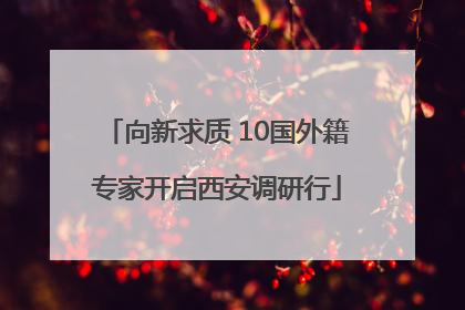 向新求质 10国外籍专家开启西安调研行