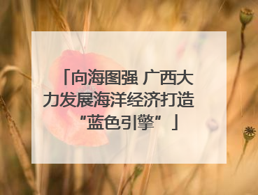 向海图强 广西大力发展海洋经济打造“蓝色引擎”