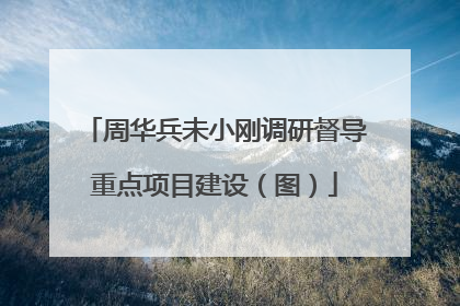周华兵未小刚调研督导重点项目建设（图）