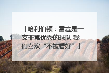 哈利伯顿：雷霆是一支非常优秀的球队 我们喜欢“不被看好”