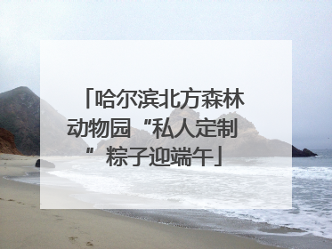 哈尔滨北方森林动物园“私人定制”粽子迎端午