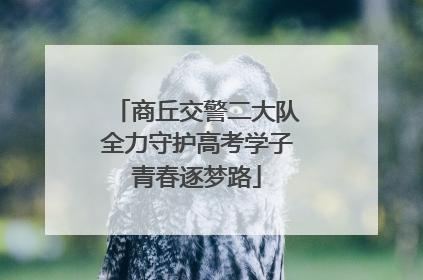 商丘交警二大队全力守护高考学子青春逐梦路