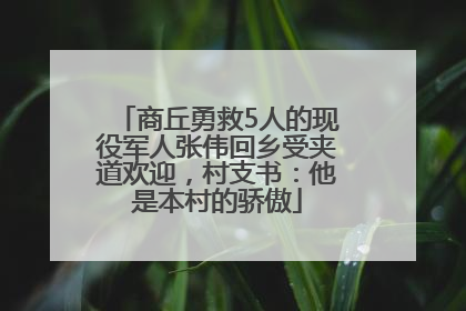 商丘勇救5人的现役军人张伟回乡受夹道欢迎，村支书：他是本村的骄傲
