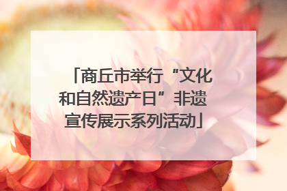 商丘市举行“文化和自然遗产日”非遗宣传展示系列活动