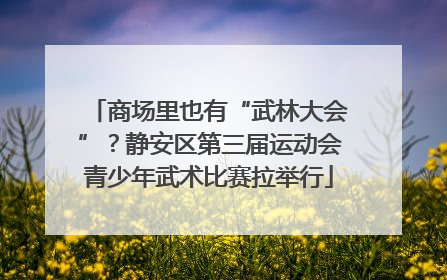 商场里也有“武林大会”？静安区第三届运动会青少年武术比赛拉举行