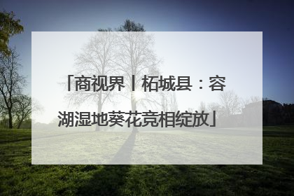 商视界丨柘城县：容湖湿地葵花竞相绽放