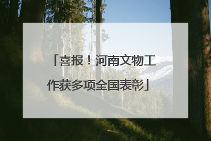 喜报！河南文物工作获多项全国表彰