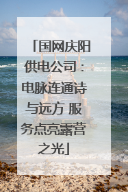 国网庆阳供电公司：电脉连通诗与远方 服务点亮露营之光