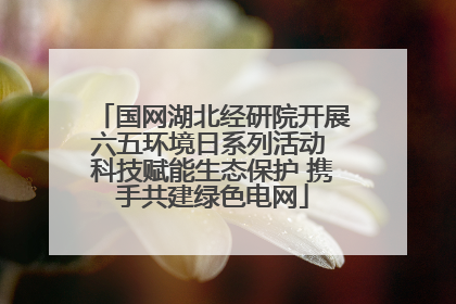 国网湖北经研院开展六五环境日系列活动 科技赋能生态保护 携手共建绿色电网