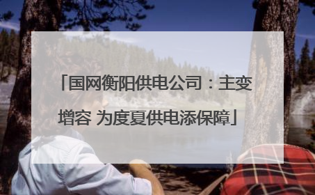 国网衡阳供电公司：主变增容 为度夏供电添保障