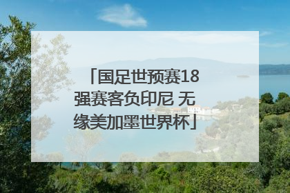 国足世预赛18强赛客负印尼 无缘美加墨世界杯