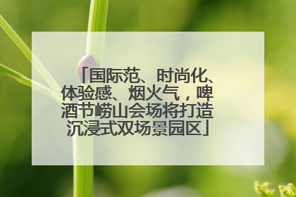 国际范、时尚化、体验感、烟火气，啤酒节崂山会场将打造沉浸式双场景园区
