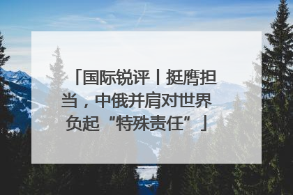国际锐评丨挺膺担当，中俄并肩对世界负起“特殊责任”