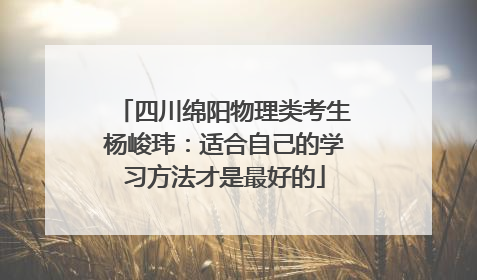 四川绵阳物理类考生杨峻玮：适合自己的学习方法才是最好的