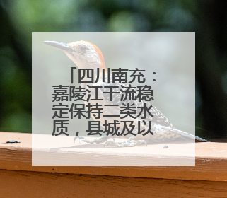 四川南充：嘉陵江干流稳定保持二类水质，县城及以上水源地水质达标率100%