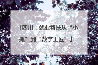 四川：就业帮扶从“小摊”到“数字工匠”