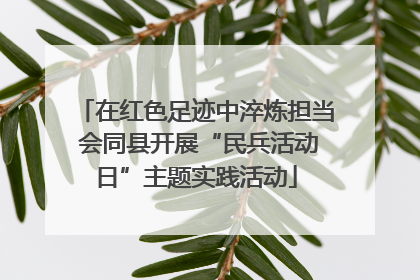 在红色足迹中淬炼担当 会同县开展“民兵活动日”主题实践活动