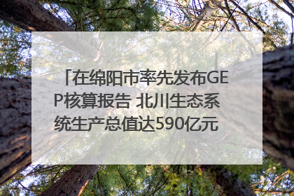在绵阳市率先发布GEP核算报告 北川生态系统生产总值达590亿元｜新闻发布最前线