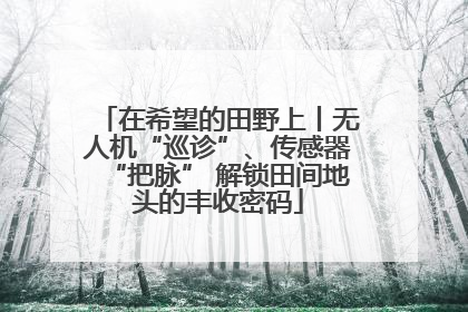 在希望的田野上丨无人机“巡诊”、传感器“把脉” 解锁田间地头的丰收密码