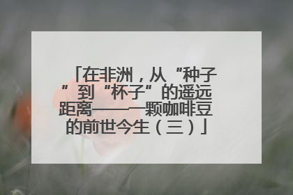 在非洲，从“种子”到“杯子”的遥远距离——一颗咖啡豆的前世今生（三）