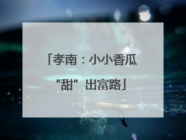 孝南：小小香瓜 “甜”出富路