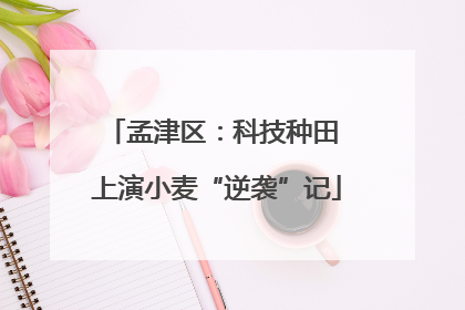 孟津区：科技种田 上演小麦“逆袭”记