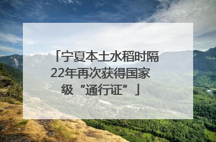宁夏本土水稻时隔22年再次获得国家级“通行证”