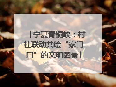 宁夏青铜峡：村社联动共绘“家门口”的文明图景