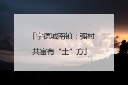 宁德城南镇：强村共富有“土”方