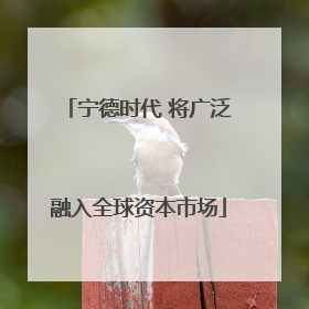 宁德时代 将广泛融入全球资本市场