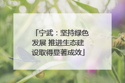 宁武：坚持绿色发展 推进生态建设取得显著成效