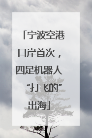 宁波空港口岸首次，四足机器人“打飞的”出海