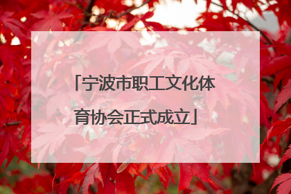 宁波市职工文化体育协会正式成立