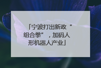 宁波打出新政“组合拳”，加码人形机器人产业