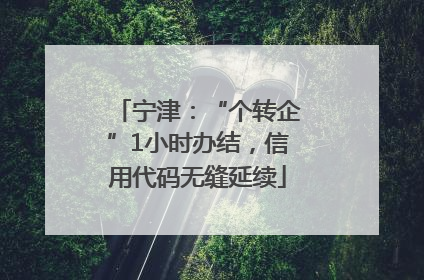 宁津：“个转企”1小时办结，信用代码无缝延续