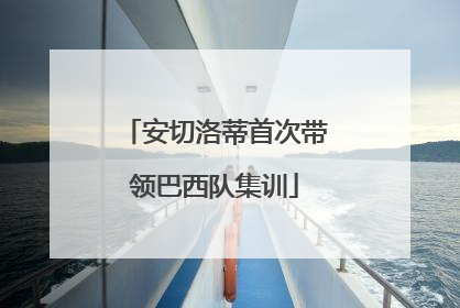 安切洛蒂首次带领巴西队集训