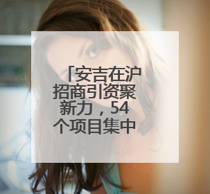 安吉在沪招商引资聚新力，54个项目集中签约