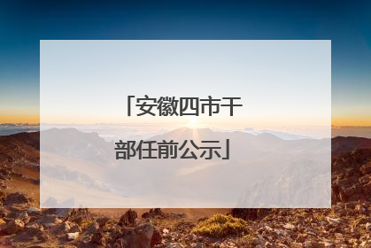 安徽四市干部任前公示