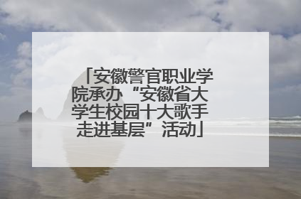 安徽警官职业学院承办“安徽省大学生校园十大歌手走进基层”活动