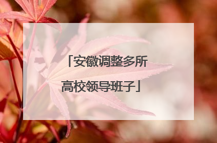 安徽调整多所高校领导班子