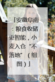 安徽阜南：粮食收储更智能，小麦入仓“不落地”（组图）