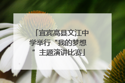 宜宾高县文江中学举行“我的梦想”主题演讲比赛