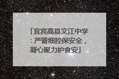 宜宾高县文江中学：严管细控保安全，凝心聚力护食安