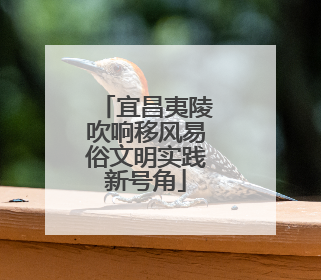 宜昌夷陵吹响移风易俗文明实践新号角