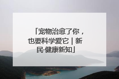 宠物治愈了你，也要科学爱它｜新民·健康新知