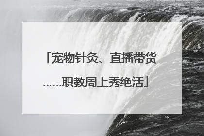 宠物针灸、直播带货……职教周上秀绝活