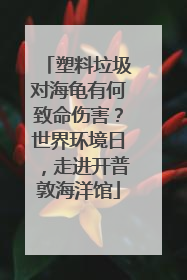 塑料垃圾对海龟有何致命伤害？世界环境日，走进开普敦海洋馆