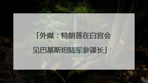 外媒：特朗普在白宫会见巴基斯坦陆军参谋长